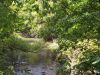 Filename=edon18.jpg
Filesize=333KB
Dimensions=1024x768
Date added=Oct 06, 2007 edon18.jpg