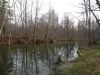 Filename=edwetlands27.jpg
Filesize=267KB
Dimensions=1024x768
Date added=Dec 15, 2009 edwetlands27.jpg