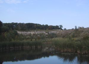 North Slope and pond withcattails