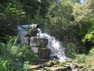 (Surfacing of Mud Creek)