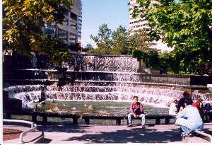 Pool near Skydome