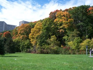 picnic area