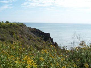 Bluffs at East Point