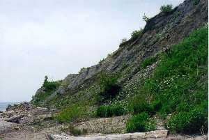 Cliff and shoreline