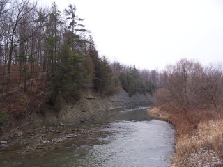 (Etobicoke Creek in January 2007)