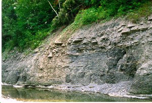 (Etobicoke Creek)