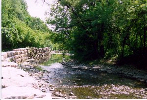 (Etobicoke Creek)