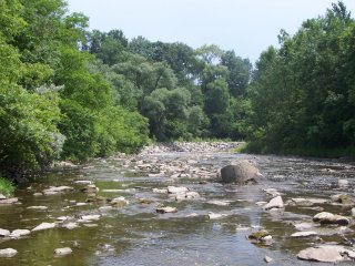 (etobicoke creek