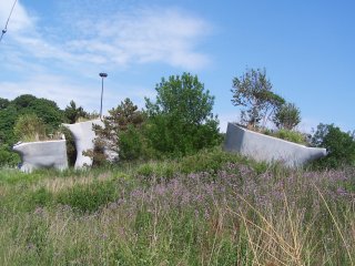 (elevated wetlands)