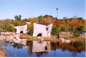 elevated wetlands