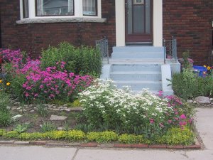 (Front garden in June)