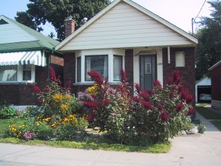 (Front garden in Sept)