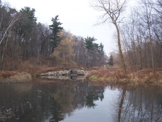 (stormwater pond)