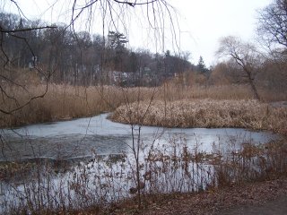 (Grenadier Pond