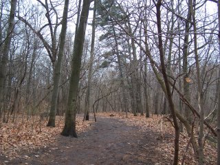 (West Ravine Trail