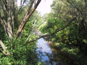 Mimico Creek