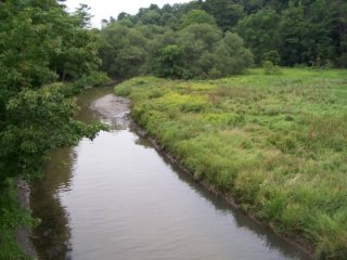Petticoat Creek