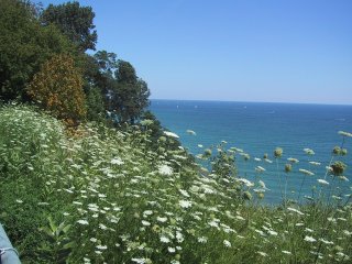 (Lake Ontario)