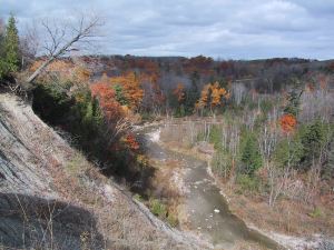 View from the ledge