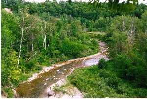 Rouge River