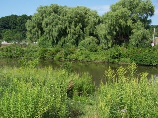 (Stormwater overflow pond)