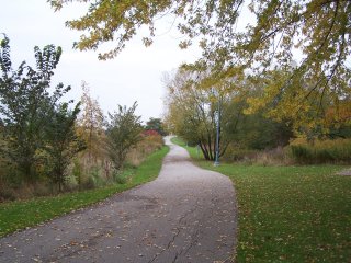 (trail in Sam Smith Park)