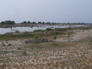 (wetlands, Cell 1)