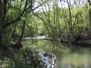 (East Don river)