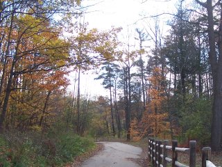 (path and trees)